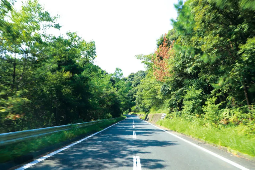 爽快・軽快 浜名湖一周コース