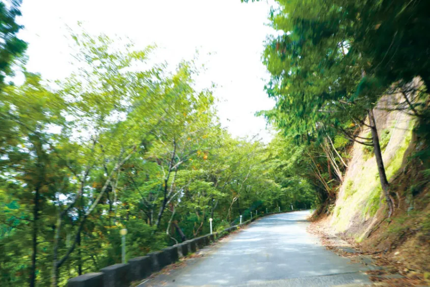 大自然パノラマエンジョイコース